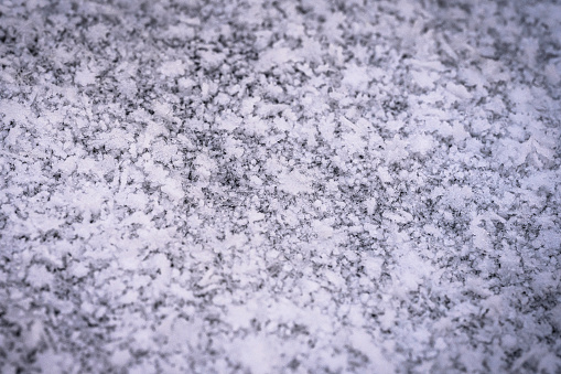 Close up of a layer of freshly fallen snow flakes