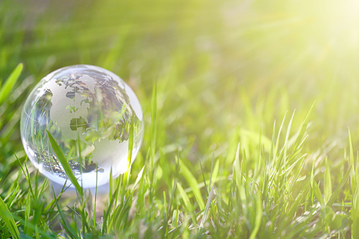 Glass globe in green grass at sunny background.  Concept of the Environment World Earth Day