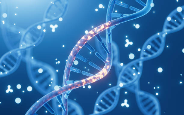 adn muté et molécules, biotechnologie scientifique, rendu 3d. - chromosome photos et images de collection