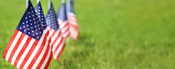 istock American flags on grass. Independence Day concept. USA holiday. 1407783529