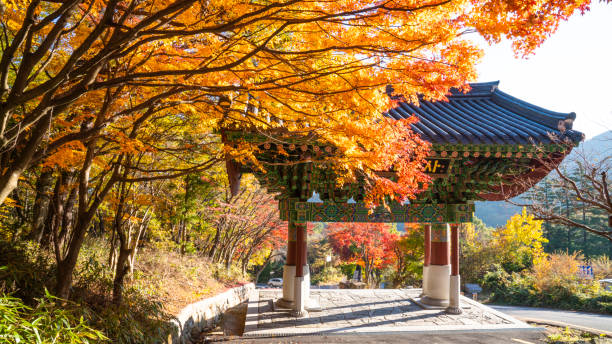 istock Autumn scenery of Mudeungsan Dulle-gil. 1407786265
