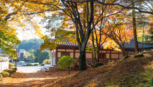 istock Autumn scenery of Mudeungsan Dulle-gil. 1407786291