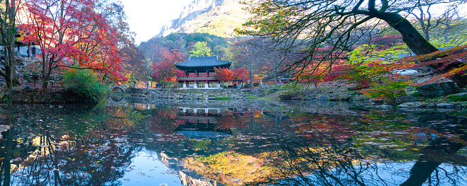 Beautiful autumn leaves at Baekyangsa Temple in Jangseong.