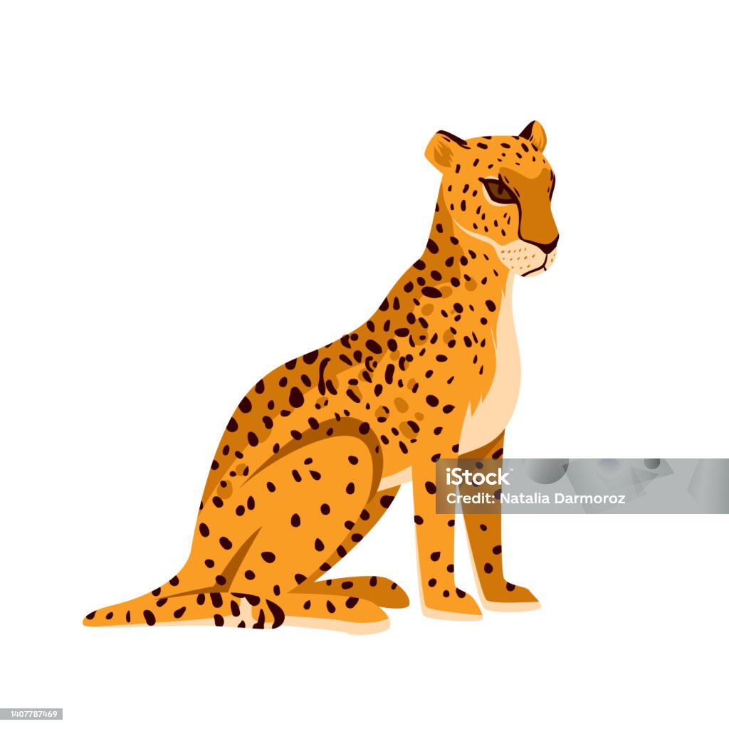 Sitting Leopard Vector Wild Leopard In Sitting Pose Stock Illustration - Download Image Now ...