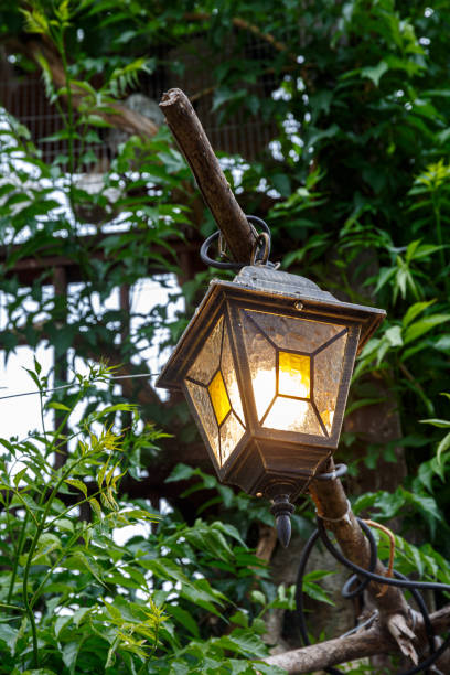 istock Old street lamp and plants 1407794935
