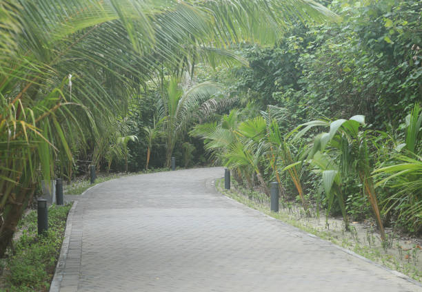 tropical alley in the resort