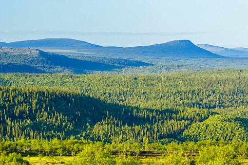 Taiga landscape view with mountains in the north