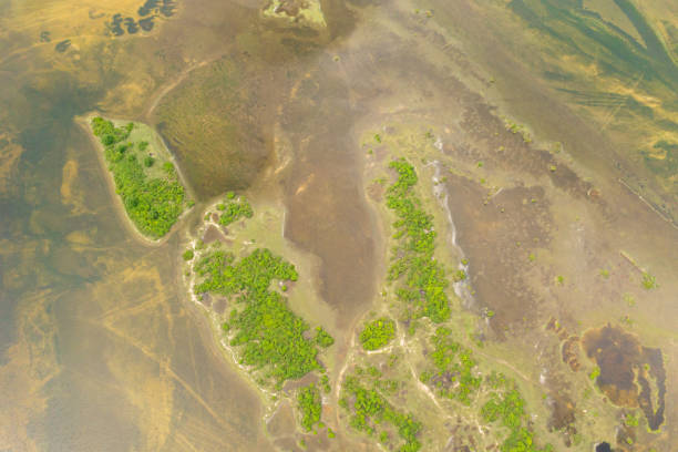 istock Flooded land in Sri Lanka. 1407807896