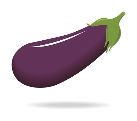 vector, eggplant illustration, eggplant