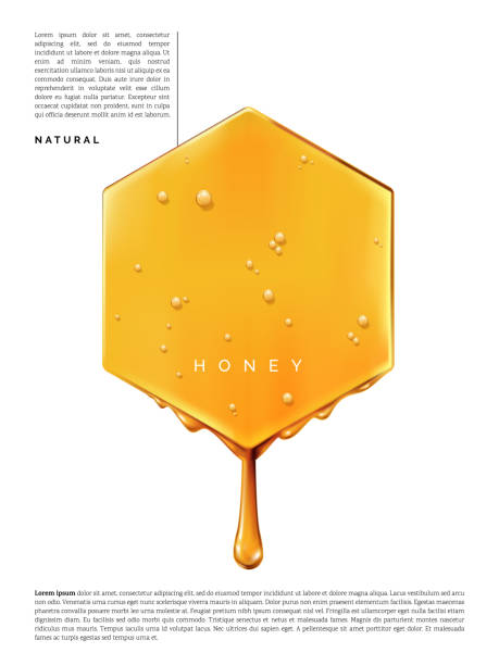 vector abstract dripping honey element 3d 일러스트레이션 햇빛 아래 뷰티 및 헬스케어 포스터, 제품 포장 또는 광고 배경. - 꿀 stock illustrations