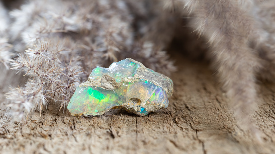 Shiny colorful boulder opal stone on wooden background . Rough unprocessed gemological sample of opal gem stone