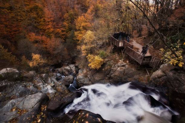 cachoeira-1 - yalova - fotografias e filmes do acervo