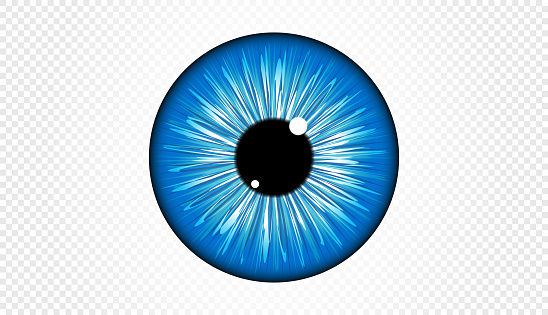 Blue Eye iris in vector format