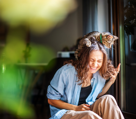 Beautiful young woman laughing happily with a cat on her head, companion pet friendship