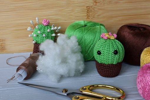 Crocheted needle holder Cactus. Handiwork. Knitting. Tangles