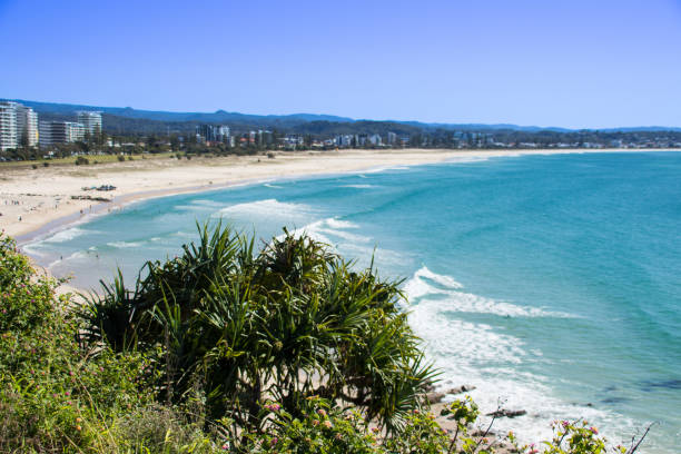 istock View from Kirra Beach Lookout looking down to Kirra Beach and Bilinga.  Green trees down below, blue pacific ocean & blue sky.  Kirra Beach Gold Coast Queensland Australia 1407829901