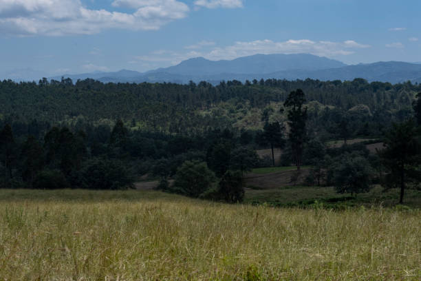 istock Warm field and a mountain backdrop in Asturias. 1407829969