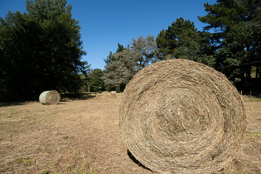 A farmer's field with a large hay bale on a warm and dry summer's day.