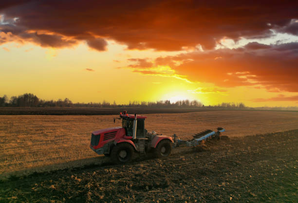 istock Tractor Plowing field on sunset. Cultivated land and soil tillage. 1407831663