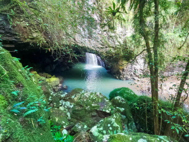 istock Looking down to the Natural Bridge / Arch Springbrook National Park.  Waterfall splashing into the beautiful fresh green water.  Green moss growing all over the rocks. Gold Coast Hinterland Queensland Australia 1407831725