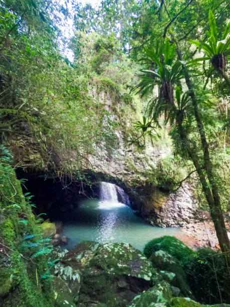 istock Looking down to the Natural Bridge / Arch Springbrook National Park.  Waterfall splashing into the beautiful fresh green water.  Green moss growing all over the rocks. Gold Coast Hinterland Queensland Australia 1407831730