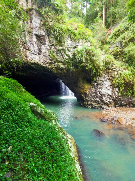 istock Looking down to the Natural Bridge Springbrook National Park.  Waterfall splashing into the beautiful fresh green water.  Green moss growing all over the rocks. Lush green foliage grown over the bank on the left. Gold Coast Hinterland Queensland Australia 1407831756