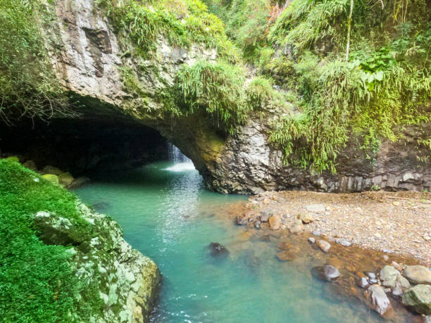 istock Looking down to the Natural Bridge Springbrook National Park.  Waterfall splashing into the beautiful fresh green water.  Green moss growing all over the rocks. Lush green foliage grown over the bank on the left. Gold Coast Hinterland Queensland Australia 1407831760