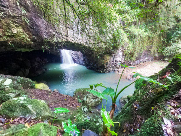 istock Looking down to the Natural Bridge Springbrook National Park.  Waterfall splashing into the beautiful fresh green water.  Green moss growing all over the rocks. Gold Coast Hinterland Queensland Australia 1407831783