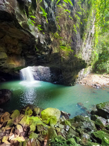 istock Looking down to the Natural Bridge Springbrook National Park.  Waterfall splashing into the beautiful fresh green water.  Green moss growing all over the rocks. Gold Coast Hinterland Queensland Australia 1407831959