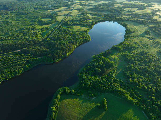 lagos de água doce. problemas de abastecimento de água e déficit hídrico, ecologia e meio ambiente. - reserva selvagem - fotografias e filmes do acervo