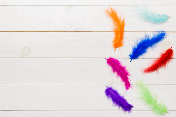 istock background of brightly colored dyed bird feathers on Colored background, top view. Copy space 1407834270