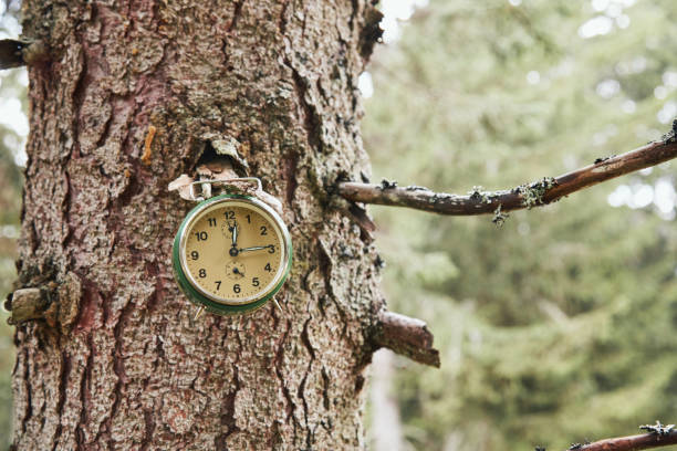 istock Time for nature and environmental conservation. 1407835388