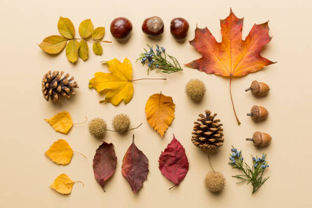 istock Autumn composition. Pattern made of dried leaves and other design accessories on table. Flat lay, top view 1407835604