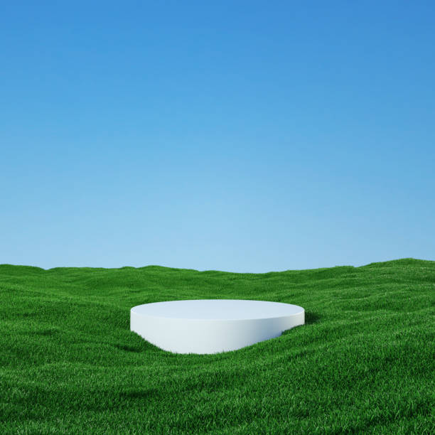 istock Podium among a field covered with grass under a beautiful sunny sky - 3D rendering 1407837005