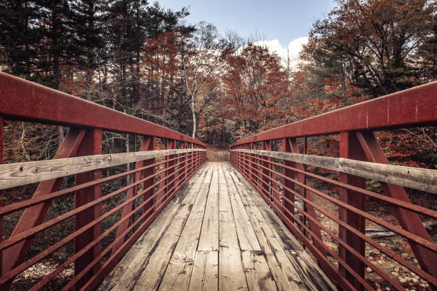 istock Bridge with rusty reiling in the Acadia National Park, Maine 1407837068