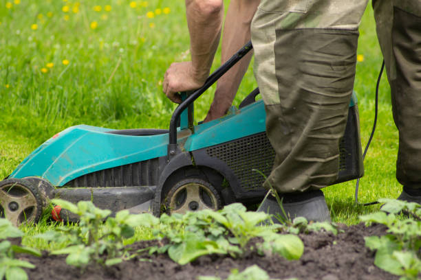 istock a man's hand opens a tank of grass inside 1407839433