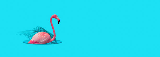 istock Flamingo design in hole on summer blue background. 1407840663