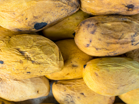 Older stock of overripe native Carabao Mangoes, also known as Philippine mango, sold at a local market for a discounted price.