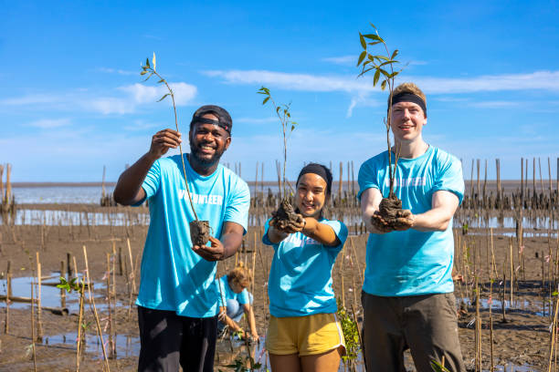 team von jungen und vielfalt freiwilligen arbeiter gruppe genießen gemeinnützige soziale arbeit im freien in mangroven pflanzen ngo-arbeit für die bekämpfung des klimawandels und der globalen erwärmung in küstenlebensraum projekt - wiederaufforstung stock-fotos und bilder