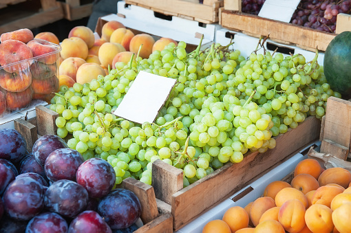Bunches of grapes , peaches and plums on the counter. Green, red bunches of ripe grapes are laid out on the counter of the farmers ' market. The fruit is ready for sale.