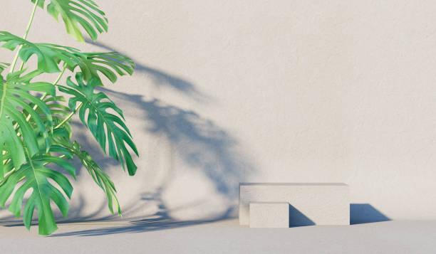 istock Background with a shadow from a bush on the wall. Cover, postcard. 3D rendering. 1407847400