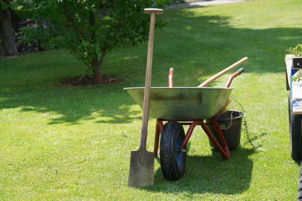 istock Garden and gardening as a hobby 1407848179