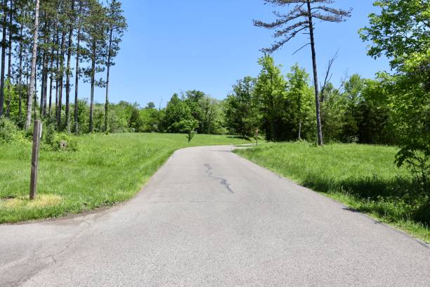 istock Empty Street in the Country 1407852687