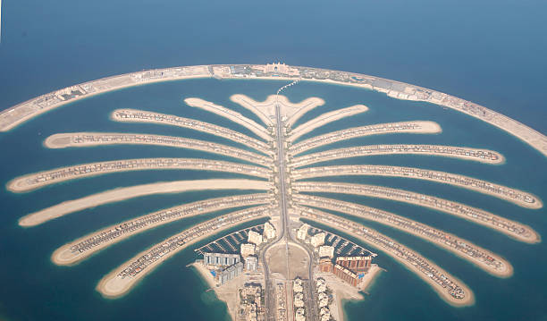 vue aérienne de l'île de palm jumeirah à dubaï - occupancy photos et images de collection