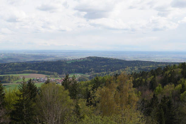istock Forest in the German Bavaria 1407855243
