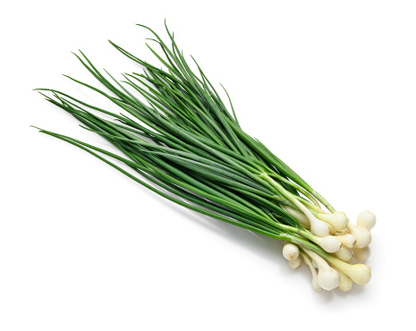 a bunch of green onions in detail, the object is isolated on a white background, the concept of fresh vegetables and healthy food