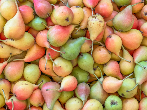 Heap of ripe sweet pears background