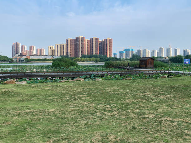 istock Office Tower in Nanjing City  China 1407861828