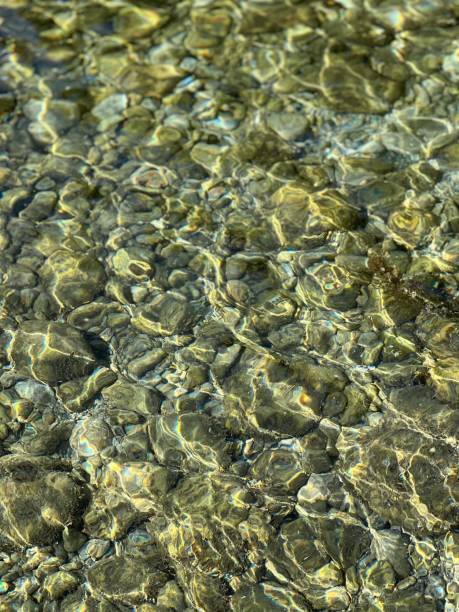 istock Sea pebbles stones in clear shiny water. 1407863045