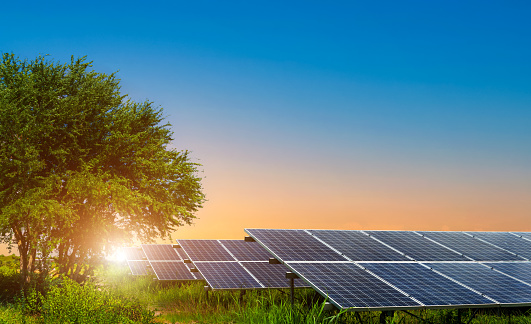 Photovoltaic modules solar power plant in Tree green leaves on with a meadow at landscape views on dramatic sunset sky background,clean Alternative power energy concept.